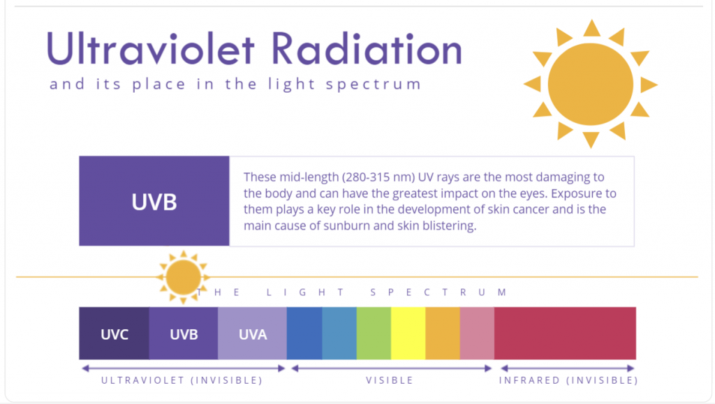 Ultraviolet details revealed in Ultra Violet